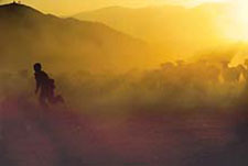 Hou Yimin's Images